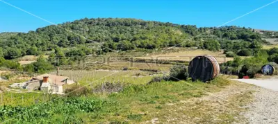 Agricultural estate on the island of Vis, 27,234 m² and restaurant - 4