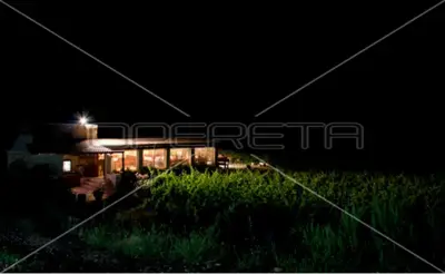 Agricultural estate on the island of Vis, 27,234 m² and restaurant - 22