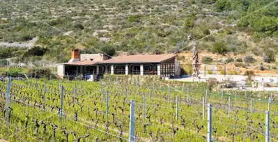 Agricultural estate on the island of Vis, 27,234 m² and restaurant - 9