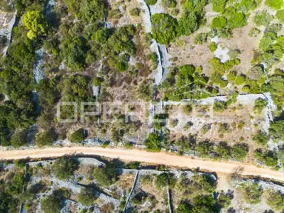 Landwirtschaftsfläche 829 m², Vinišće - am Weg - 15