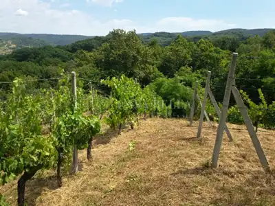 Cellar 52 m², Marija Bistrica - near the center and view of the hills - 16