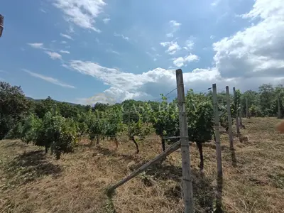 Cellar 52 m², Marija Bistrica - near the center and view of the hills - 8