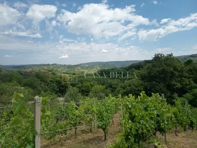 Cellar 52 m², Marija Bistrica - near the center and view of the hills - 2