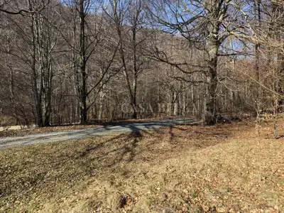 Građevinsko zemljište 4.762 m², Fužine - pogled na Jelenču - 9