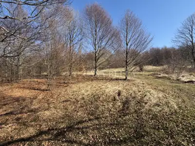 Građevinsko zemljište 4.762 m², Fužine - pogled na Jelenču - 3