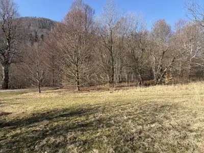 Građevinsko zemljište 4.762 m², Fužine - pogled na Jelenču - 7