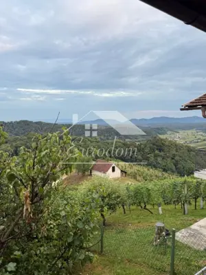 Holiday home, Desinić - panoramic views and orchard - 19
