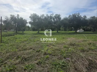 Building land, Brtonigla - 6 plots for family houses - 3