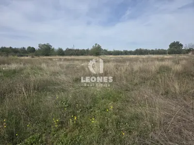 Building land, Brtonigla - 6 plots for family houses