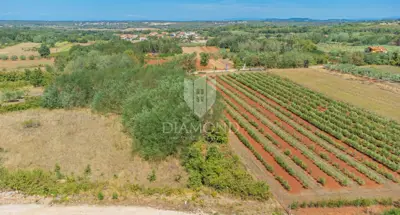 Land, Umag - quiet suburban settlement near the center - 2