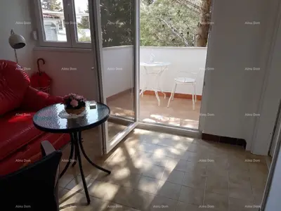 Apartman 40 m², Barbariga - blizu mora i mirno okruženje - 4
