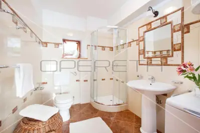Stone house 175 m², Filipana - peaceful location in nature - 18