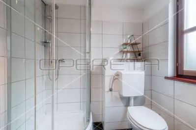 Stone house 175 m², Filipana - peaceful location in nature - 19