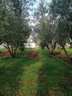 Baugrundstück, Veliki Vareški - Dorfzentrum, Wasser und Strom - 18