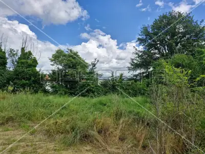 Haus 184 m², Barban - zur Adaptierung mit Gartenfläche - 4