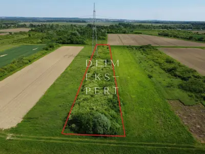 Struga Nartska, RUGVICA, Poljoprivredno zemljište - 4213 m²