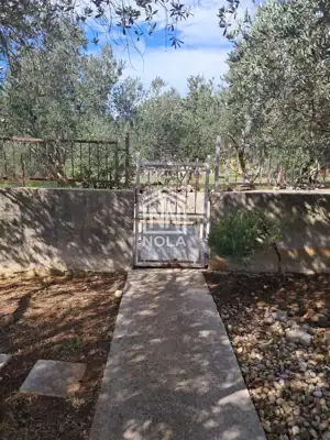 Kuća 246 m², Bokanjac - mirna ulica i privatno dvorište - 6
