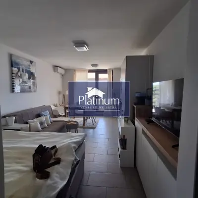 Istra, Pavićini, fantastični apartman s pogledom na more - 4