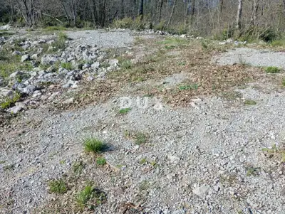 Land, Kučeli - peaceful green surroundings and access road - 3