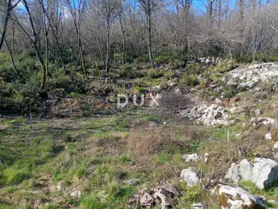 Land, Kučeli - peaceful green surroundings and access road - 4