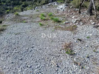 Land, Kučeli - peaceful green surroundings and access road - 5