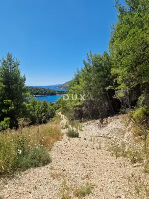 Pelješac, Popova luka, poljoprivredno zemljište 190.000m²
