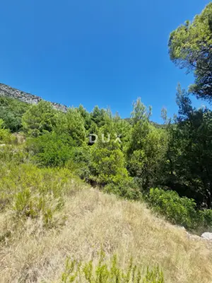 Pelješac, Popova luka, agricultural land 190,000 m² - 2