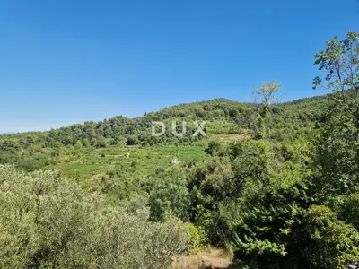 Pelješac, Popova luka, agricultural land 190,000 m² - 13