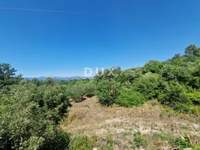 Pelješac, Popova luka, agricultural land 190,000 m² - 10