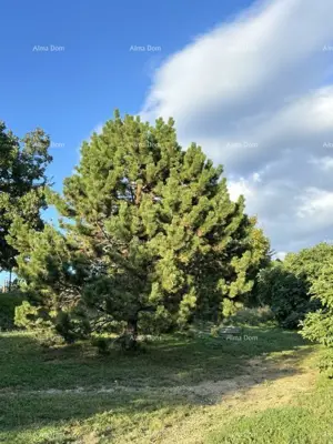 Kuća 303 m², Gračišće - mirna stancija s privatnošću - 12