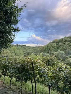 Kuća 303 m², Gračišće - mirna stancija s privatnošću - 13