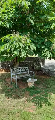 Otok Krk - samostojeća kuća s lijepom okućnicom - 15