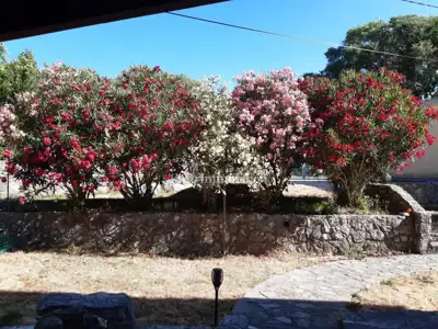 Otok Krk - samostojeća kuća s lijepom okućnicom - 14