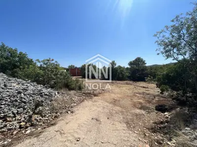 Agricultural land 6,630 m², Gaćelezi - olives and buildings