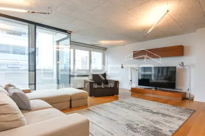 Najam, Stan, Medveščak, Ljudevita Posavskog, 5s, 162 m²