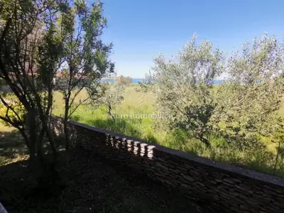 Kuća u Povljani, 4 apartmana i 50 m od mora - 20
