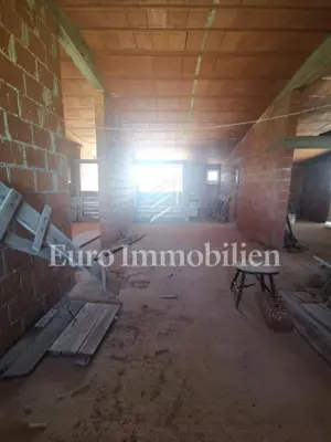 Kuća u Povljani, 4 apartmana i 50 m od mora - 14