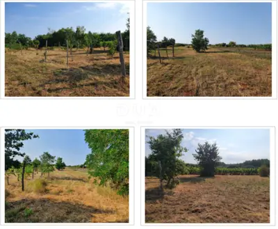 Agricultural land 1,923 m², Diklići near Kaštelir