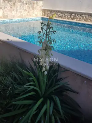 Kamena kuća, Vrbanj na Hvaru, bazen i jacuzzi - 2