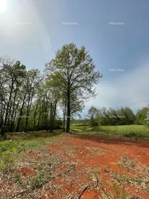 PRODAJE SE GRAĐEVINSKO ZEMLJIŠTE S PROJEKTOM – Barban (1.010 m²) - 6