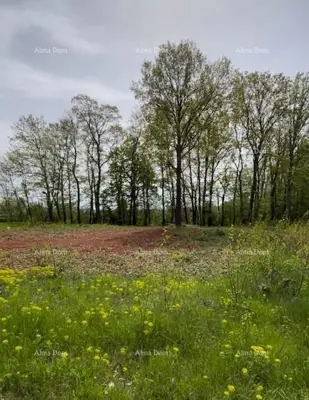 PRODAJE SE GRAĐEVINSKO ZEMLJIŠTE S PROJEKTOM – Barban (1.010 m²) - 2
