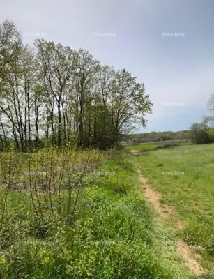 PRODAJE SE GRAĐEVINSKO ZEMLJIŠTE S PROJEKTOM – Barban (1.010 m²) - 4