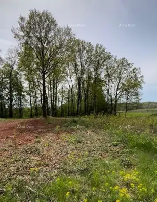 PRODAJE SE GRAĐEVINSKO ZEMLJIŠTE S PROJEKTOM – Barban (1.010 m²) - 3
