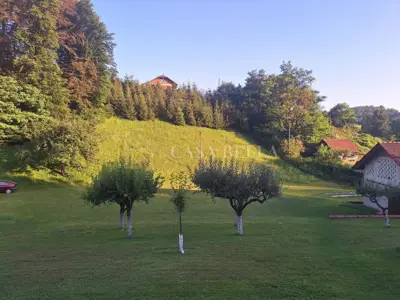 Kuća 133 m², Gornji Jalšovec - imanje 25.000 m² - 13