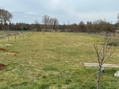 Building land, Loborika, 3 plots along asphalt road and infrastructure