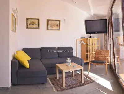 Barbariga – kuća u nizu s velikim vrtom, 200 m od mora - 8