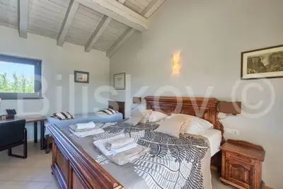 Vila 400 m², Juršići - bazen i vrt - 11