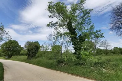 Land plot for sale in Majkusi - 6