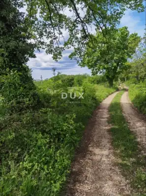 Land plot for sale in Majkusi - 5