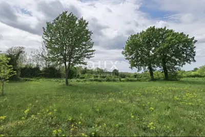 Land plot for sale in Majkusi - 3